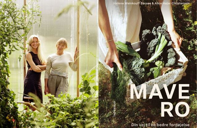 Billede af forfattere Helene Weinkouff Barsøe, Alice Højer Christensen og bog