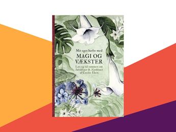 Sølvblomst og natblomst Litteraturguide